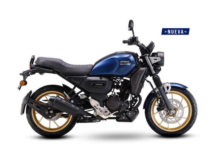 FZ X - Street